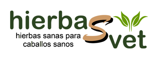Hierbasvet – hierbas sanas para caballos sanos